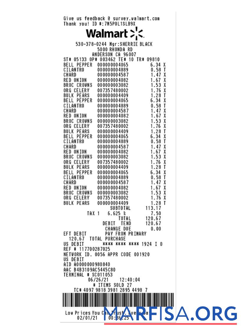 Realistic WALMART payment check template